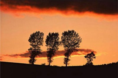 ​游玩的好词好句