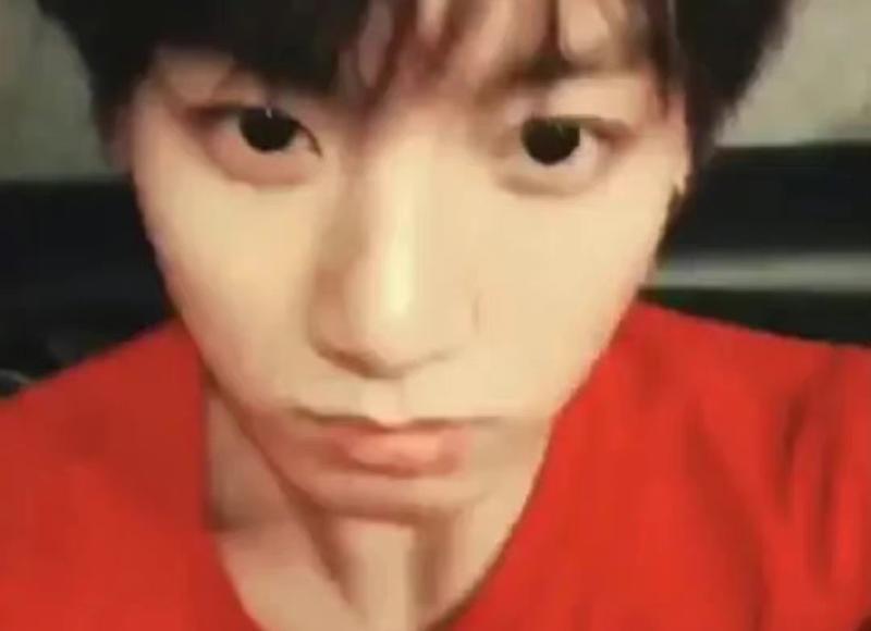 《猫》重点句子赏析(通用60句) 《猫》重点句子赏析(通用60句)