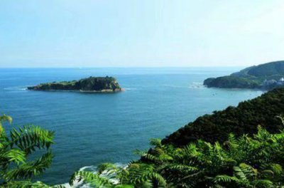 ​一杯奶茶的温暖文案(29句)