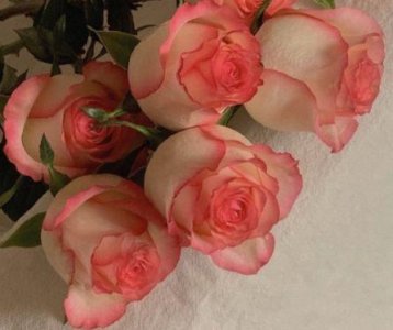 ​用就是写句子一年级简单(27句)