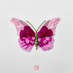 ​经典的人生感悟句子句句走心(非常精辟的人生感悟句子)