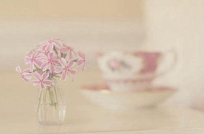 ​简短的花的优美句子40条