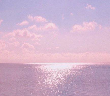 有关于描写树的优美句子