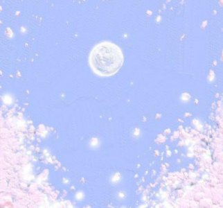 ​最浪漫的告白 话