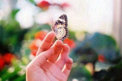 ​小学生鼓励的话语和激励话 鼓励的话语和激励话(28句)