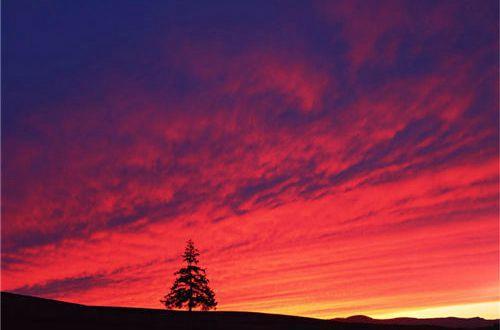 哄对象开心的句子留言