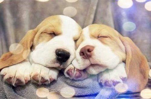 很简短优美的句子