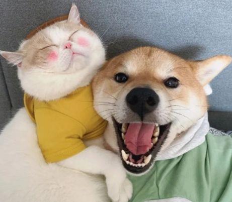 感悟人生的句子收录