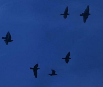 感悟人生的句子收录