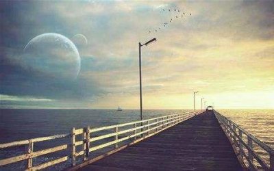 用英语介绍一些关于鲸鱼习性的句子(35句)