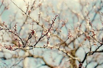 微信早上好的句子集锦24句