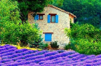 ​工作激励人心的句子正能量精选集合29句