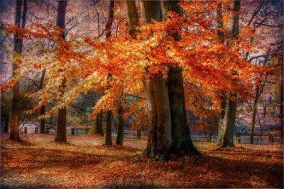 ​温柔到爆的神仙句子 可爱到爆炸的句子(精选33句)