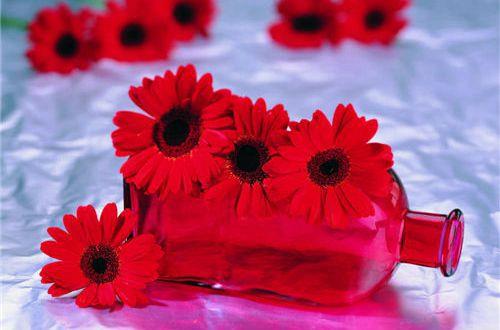 一句话简短悲伤的句子