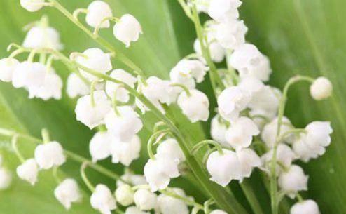 对友情失望的句子简单