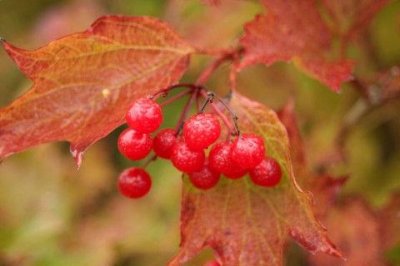 ​对事很失望的句子