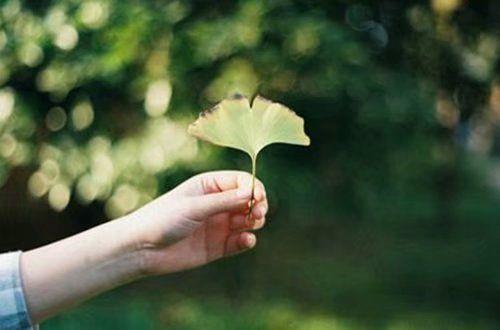 感恩相濡以沫的老公的句子