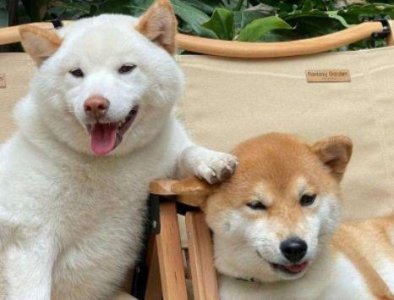 ​对于感情很失望的句子