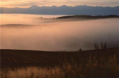愿你以后开开心心的句子