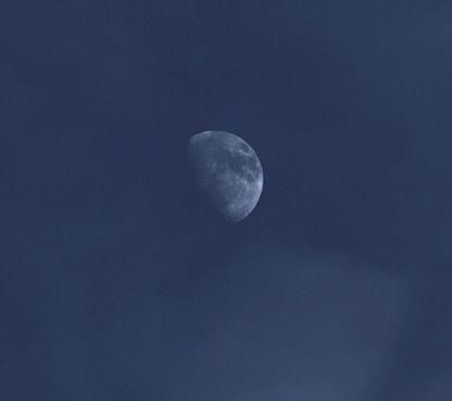 对友情彻底失望的句子