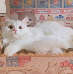 ​对恋爱很失望的句子(16句)