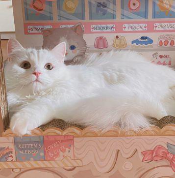 几经风雨路的回忆伤感句子