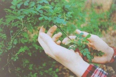 ​对男方父母失望的句子