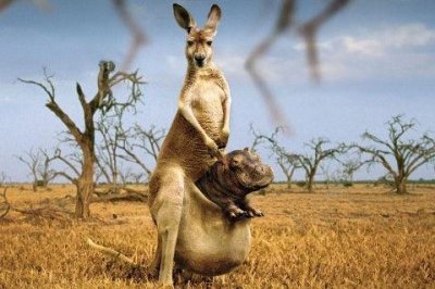 ​对人家人失望的句子