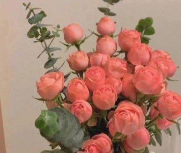 ​水浒传好词好句