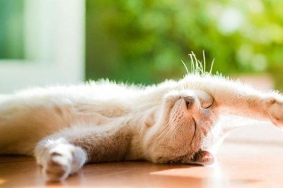 ​童年好词好句