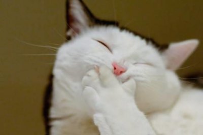 ​哲理的语句摘录96条