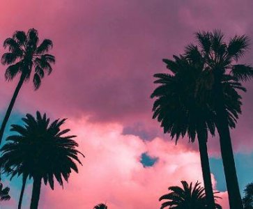 ​简短的有哲理的语句95条