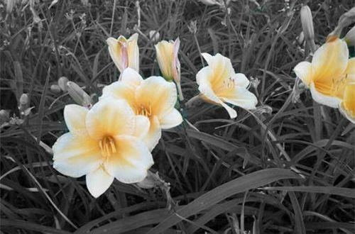 保佑平安的话 保佑全家平安的话