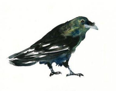 ​对孩子的希望和寄语一句鼓励的话精选81句