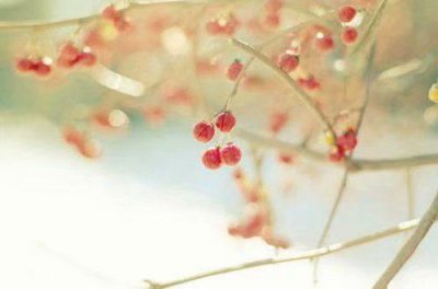 ​作文好开头摘抄大全 作文开头万能金句合集82句