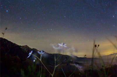 写给老师的话50字31句