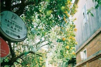 描写荷叶的段落45句