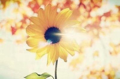 用精神造句大全