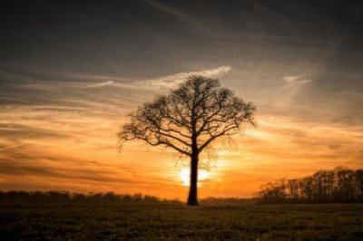 形象排比句35句