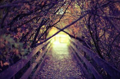 ​兰州谚语79句