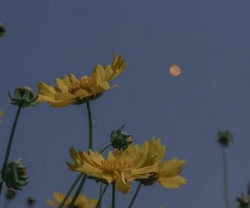 ​关于决心的英语谚语