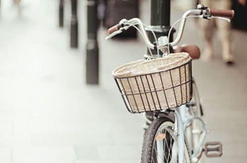 用养精蓄锐造句大全