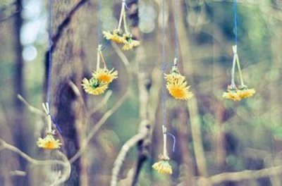 ​排比句含像字22句