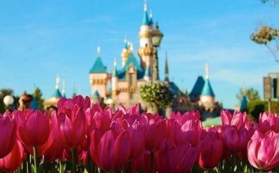 ​小升初的歇后语82句