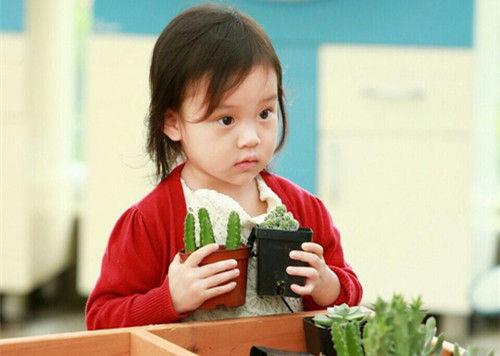 每日晨语分享一句话