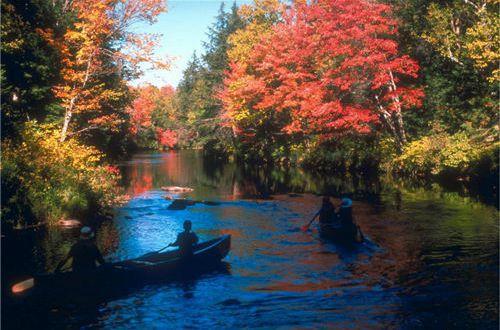 惊鸿一瞥的温柔短句