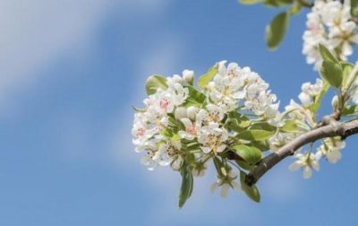 qq群孤独签名111句