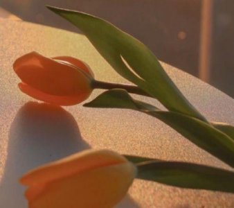 qq微博人介绍大全107句