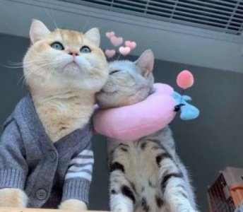 最新版情侣性签名102句