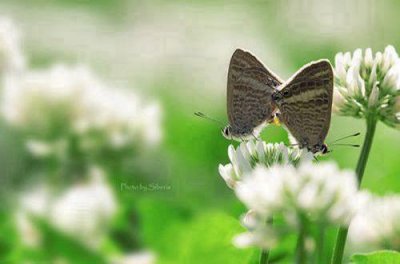 qq性签名火星文字116句